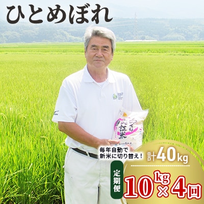定期便 10kg×4ヶ月 大粒で低タンパクなひとめぼれ 土づくり実証米[No.5685-2084]
