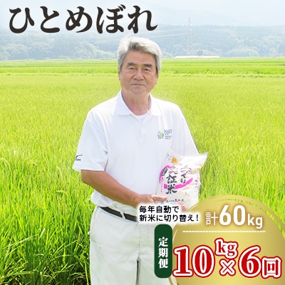 定期便 10kg×6ヶ月 大粒で低タンパクなひとめぼれ 土づくり実証米[No.5685-2085]