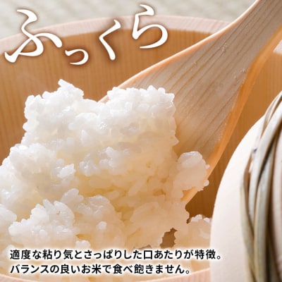 定期便 ひとめぼれ 5kg×4回 隔月 令和4年 精米 土づくり実証米[No.5685-2679]