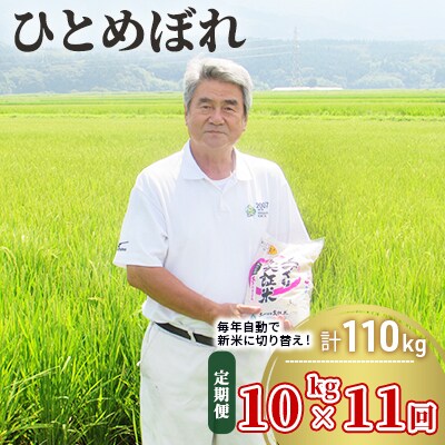 定期便 10kg×11ヶ月 大粒で低タンパクなひとめぼれ 土づくり実証米[No.5685-2089]
