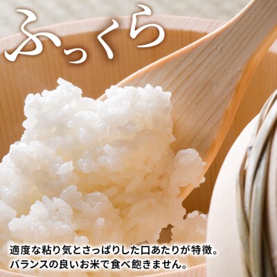 定期便 10kg×11ヶ月 大粒で低タンパクなひとめぼれ 土づくり実証米[No.5685-2089]