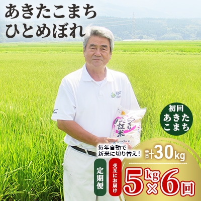 米 定期便 5kg×6回 2種 交互配送 あきたこまち ひとめぼれ 精米[No.5685-1347]