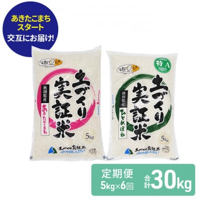 米 定期便 5kg×6回 2種 交互配送 あきたこまち ひとめぼれ 精米[No.5685-1347]