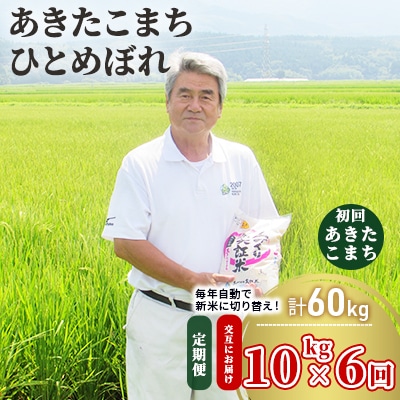 あきたこまち ひとめぼれ 精米 交互配送 定期便 10kg&times;6ヶ月 6回[No.5685-1349]