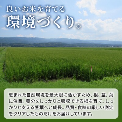 あきたこまち ひとめぼれ 精米 交互配送 定期便 10kg×6ヶ月 6回[No.5685-1349]