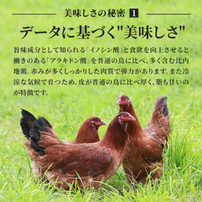 比内地鶏 焼鳥セット 15本(焼き鳥 焼鳥串セット やきとり)[No.5685-1136] 