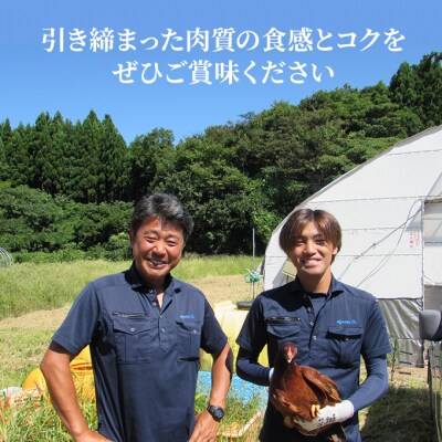 定期便 比内地鶏の切り身 900g×3ヶ月(150g×6袋) [No.5685-1466]