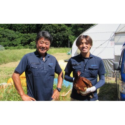 比内地鶏 肉の定期便(900g×8ヵ月) 塩こしょう味 [No.5685-2118] 
