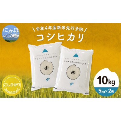 令和4年産 新米 先行予約 コシヒカリ 白米 10kg(5kg×2袋)[No.5934-0258]