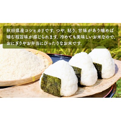 令和4年産 新米 先行予約 コシヒカリ 白米 10kg(5kg×2袋)[No.5934-0258]