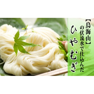 名水を使用した冷や麦 5束(10人前)×3ヶ月(ひやむぎ)[No.5685-2132]