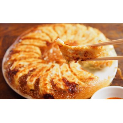 老舗食堂の復刻肉餃子 64個(8×8パック 小分け 冷凍)[No.5934-0290]