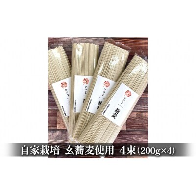 2人前×4 風味豊かな自家製蕎麦 ひの里の蕎麦(4束)[No.5934-0047]