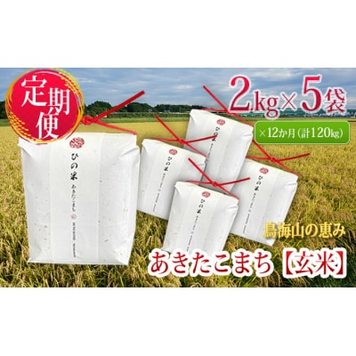 あきたこまち 玄米 2kg×5袋 12ヶ月 定期便[No.5934-0020]