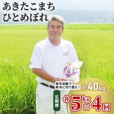 米 定期便 5kg&times;2&times;4回 2品種 食べ比べ こまち ひとめ[No.5685-2378]