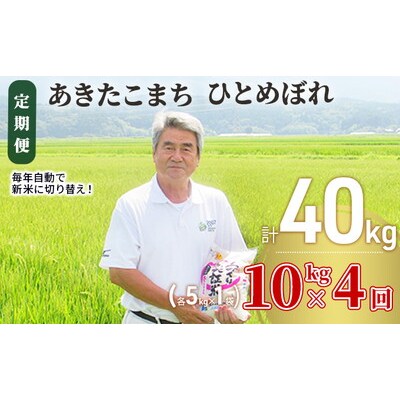 定期便4回 あきたこまち・ひとめぼれ 10kg (各5kg) 令和7年産[No.5685-2378]