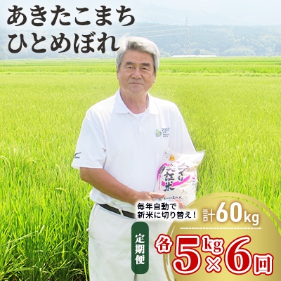 米 定期便 5kg&times;2&times;6回 2品種 食べ比べ こまち ひとめ [No.5685-2380]