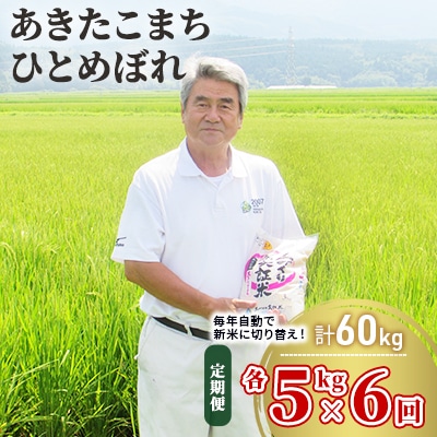 米 定期便 5kg×2×6回 2品種 食べ比べ こまち ひとめ [No.5685-2380]