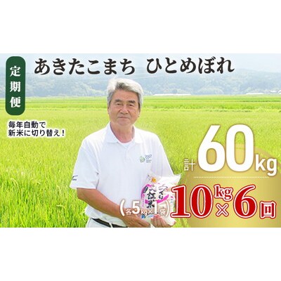 定期便6回 あきたこまち・ひとめぼれ 10kg (各5kg) 令和7年産[No.5685-2380]