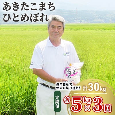 米 定期便 5kg×2×3回 2品種 食べ比べ こまち ひとめ[No.5685-2377]