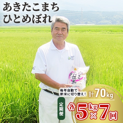 米 定期便 5kg&times;2&times;7回 2品種 食べ比べ こまち ひとめ[No.5685-2381]