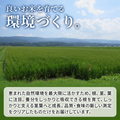 米 定期便 5kg×2×7回 2品種 食べ比べ こまち ひとめ[No.5685-2381]