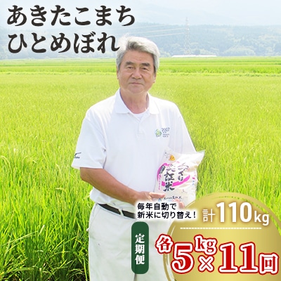 米 定期便 5kg&times;2&times;11回 2品種 食べ比べ こまち ひとめ[No.5685-2385]