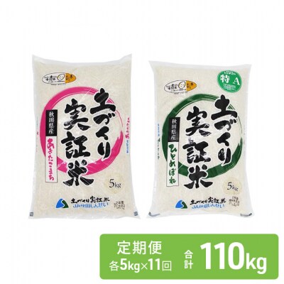 米 定期便 5kg×2×11回 2品種 食べ比べ こまち ひとめ[No.5685-2385]