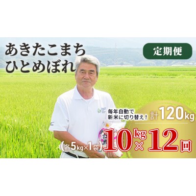 【定期便】10kg×12ヶ月 あきたこまち&ひとめぼれ 2種食べ比べ [No.5685-2386]
