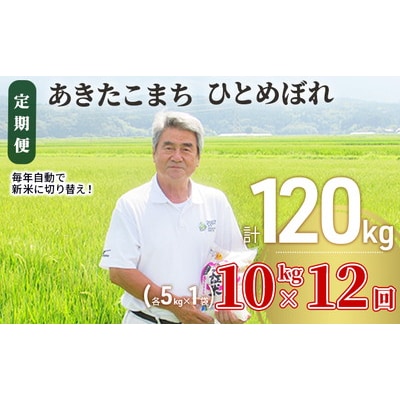定期便12回 あきたこまち・ひとめぼれ 10kg (各5kg)令和7年産[No.5685-2386]