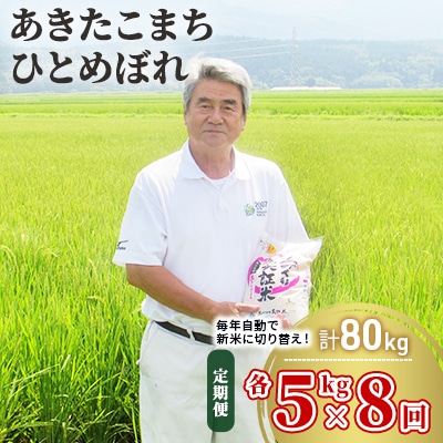 米 定期便 5kg&times;2&times;8回 2品種 食べ比べ こまち ひとめ[No.5685-2382]