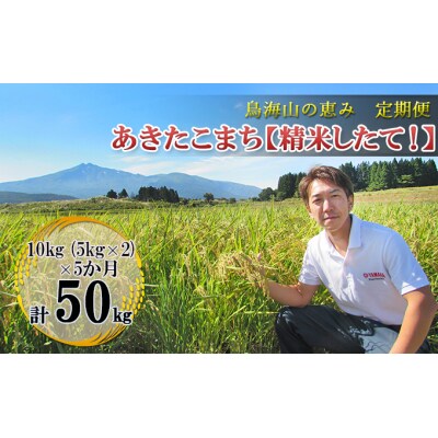 【定期便】10kg(5kg×2袋)×5ヶ月 鳥海山の恵み あきたこまち [No.5685-2665]