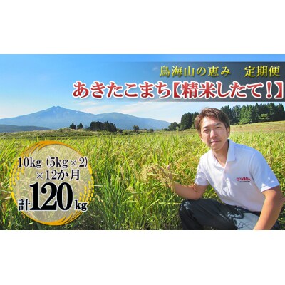【定期便】10kg(5kg×2袋)×12ヶ月 鳥海山の恵み あきたこまち[No.5685-2672]