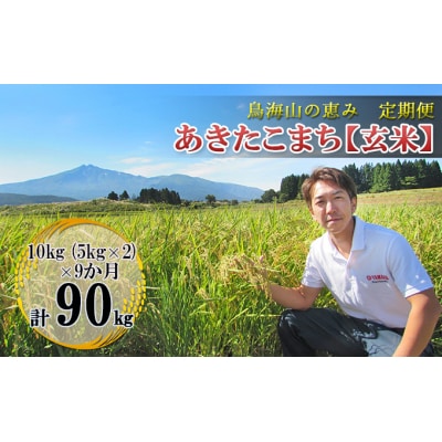 【定期便】10kg×9ヶ月 鳥海山の恵み 農家直送 あきたこまち(玄米 [No.5685-2645]