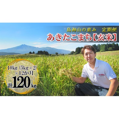 【定期便】10kg×12ヶ月 鳥海山の恵み 農家直送 あきたこまち 玄米[No.5685-2648]