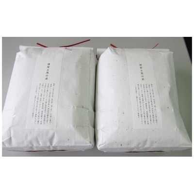 【定期便】10kg×12ヶ月 鳥海山の恵み 農家直送 あきたこまち 玄米[No.5685-2648]