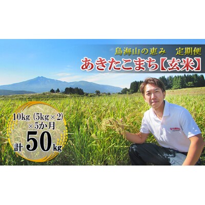 【定期便】10kg×5ヶ月 鳥海山の恵み 農家直送 あきたこまち(玄米)[No.5685-2641]