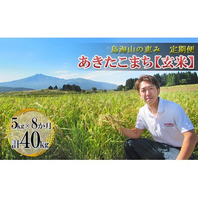 【定期便】5kg×8ヶ月 鳥海山の恵み 農家直送 あきたこまち(玄米) [No.5685-2634]
