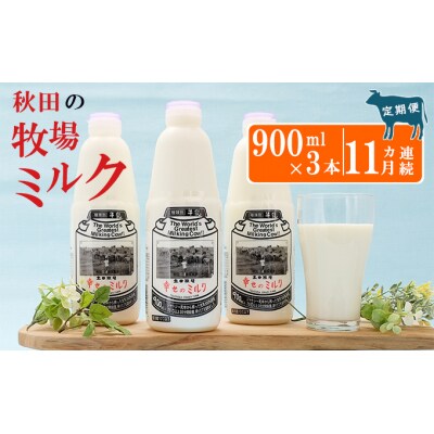 幸せのミルク(ジャージー 牛乳)11ヶ月 定期便 900ml×3本 [No.5685-2571]