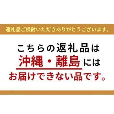 国産大豆の手作り納豆 16個×3ヶ月 定期便[No.5934-0294]