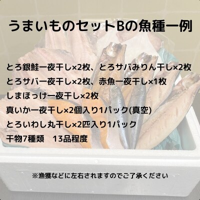 干物 セット 7種類13品程度 定期便 3ヶ月 うまいものセット[No.5685-2732]