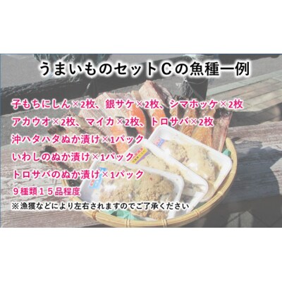 干物セット 15品9種程度×3ヶ月 定期便 干物詰め合わせ[No.5685-2740]