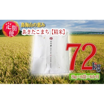 12kg×6回 秋田県産あきたこまち(精米) ひの米 2kg小分け[No.5934-0142]
