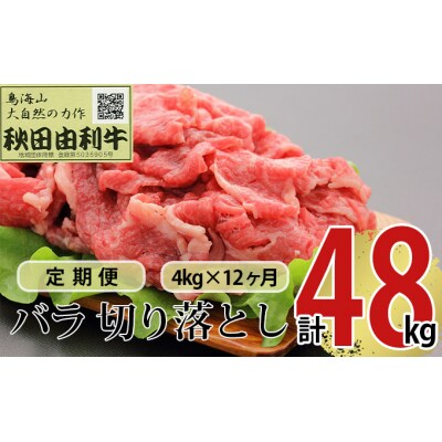 定期便 秋田由利牛 バラ切り落とし 4kg×12ヶ月(黒毛和牛 小分け)[No.5934-0228]