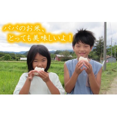 2kg×9ヶ月 秋田県産 ササニシキ(玄米) 郷山のお米 定期便[No.5685-2302]