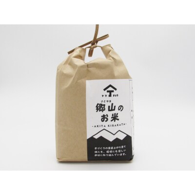 4kg×9ヶ月 ササニシキ 玄米 郷山のお米 定期便(2kg 小分け)[No.5685-2312]