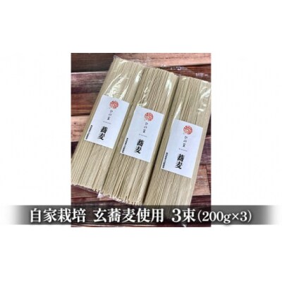2人前×3束 自家栽培 ひの里の蕎麦[No.5934-0046]