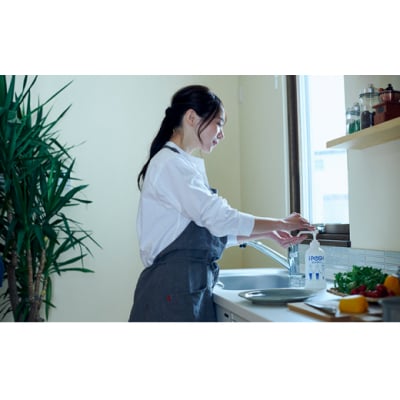 iposh ハンドクリーン 500ml×1本[No.5934-0119]