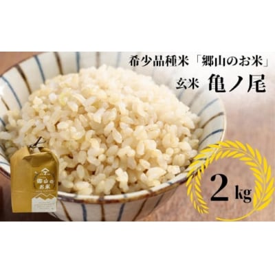 希少品種米 亀ノ尾 2kg 玄米 郷山のお米[No.5934-0474]