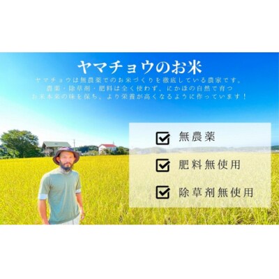 希少品種米 亀ノ尾 2kg 玄米 郷山のお米[No.5934-0474]